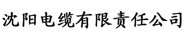 理论电影在线看电缆厂logo